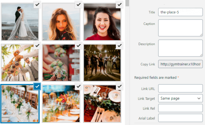 How To Add A Custom URL To WordPress Gallery Images – Market WP Themes